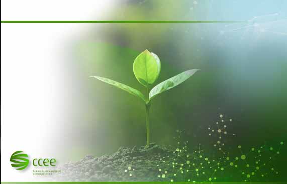 Planta nascendo com tom verde e logo da CCEE no canto esquerdo