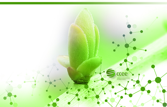 A imagem mostra um broto de planta, envolta por elementos visuais verdes