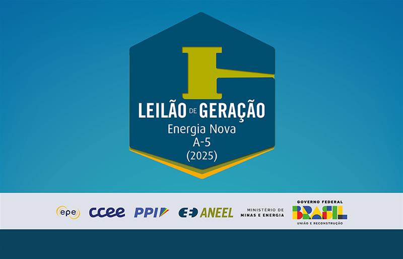 logo leilão