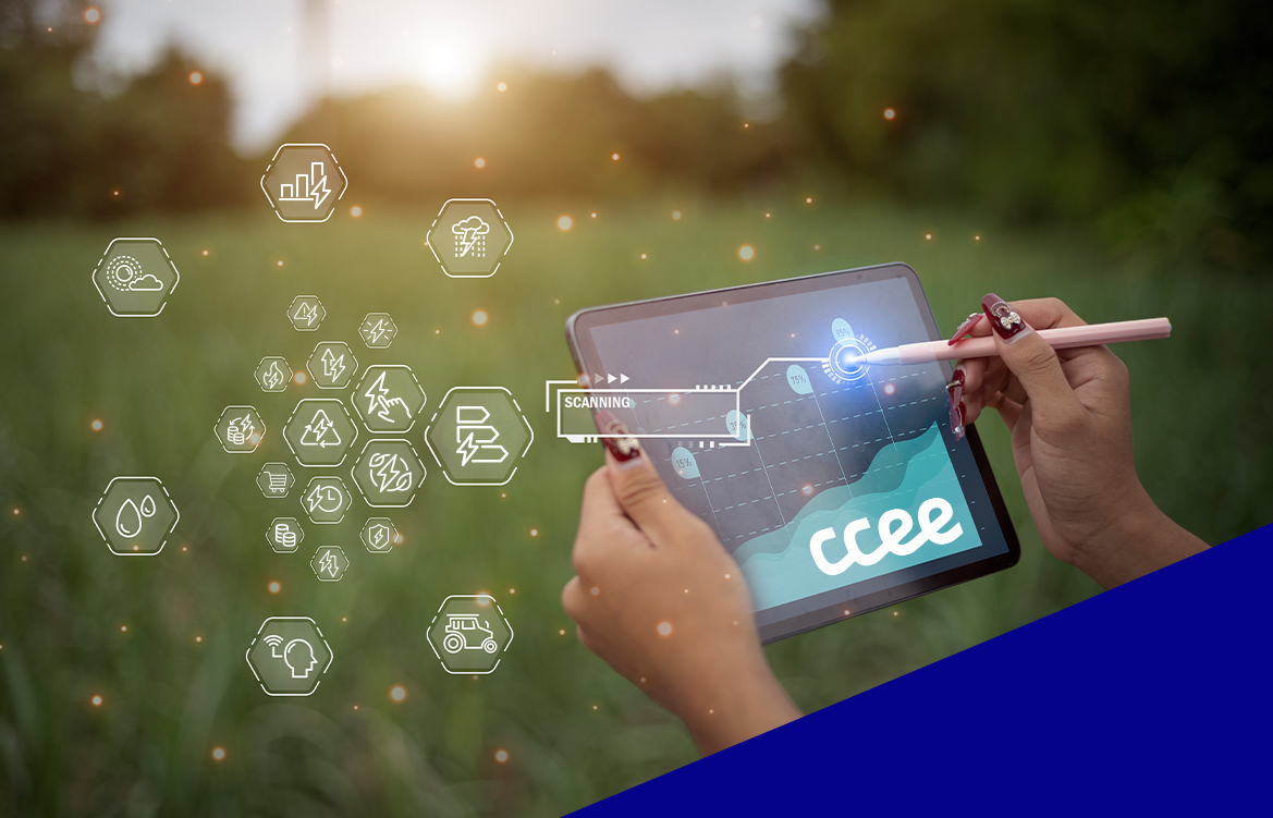 pessoa consultando relatório