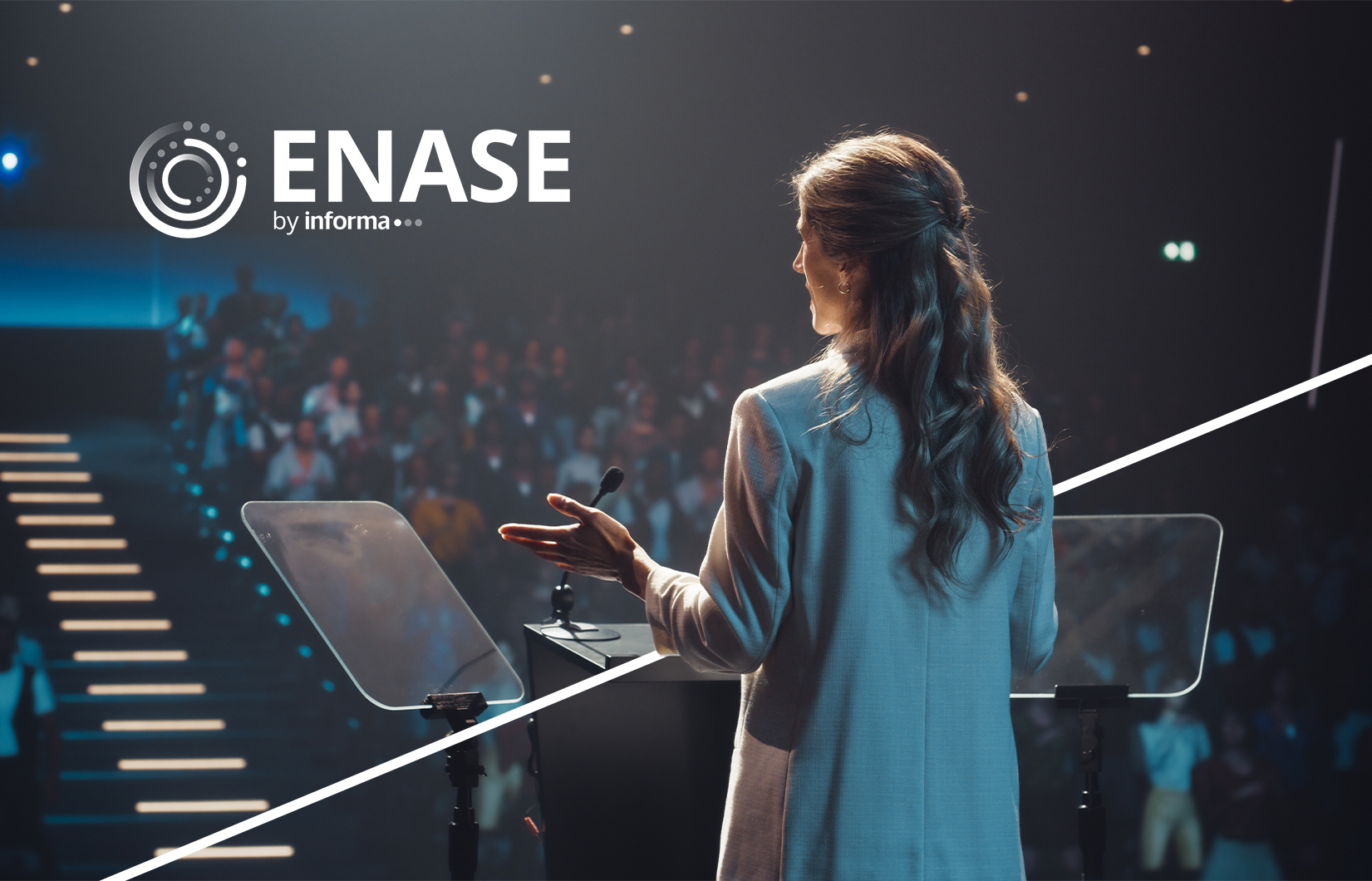 logo enase