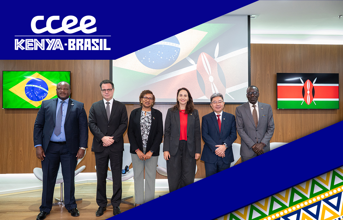 pessoas e bandeiras dos paises brasil e quênia em uma apresentação. 